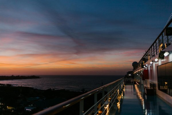 Discover genuine british gardening: engage in interactive workshops for an immersive hands-on cultivation experience